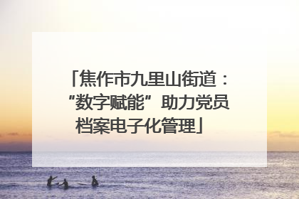 焦作市九里山街道：“数字赋能”助力党员档案电子化管理