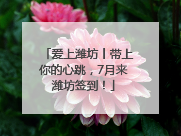 爱上潍坊丨带上你的心跳，7月来潍坊签到！