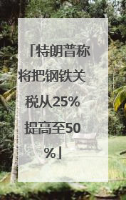特朗普称将把钢铁关税从25%提高至50%
