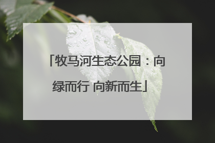 牧马河生态公园：向绿而行 向新而生