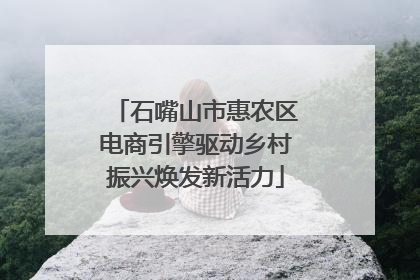 石嘴山市惠农区电商引擎驱动乡村振兴焕发新活力