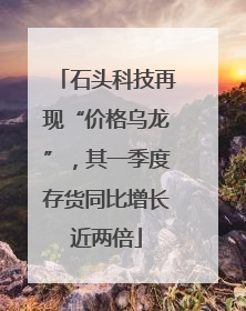 石头科技再现“价格乌龙”，其一季度存货同比增长近两倍
