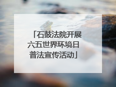 石鼓法院开展六五世界环境日普法宣传活动