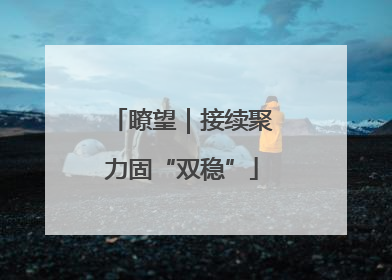 瞭望｜接续聚力固“双稳”