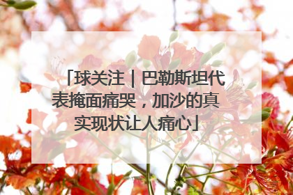 球关注｜巴勒斯坦代表掩面痛哭，加沙的真实现状让人痛心