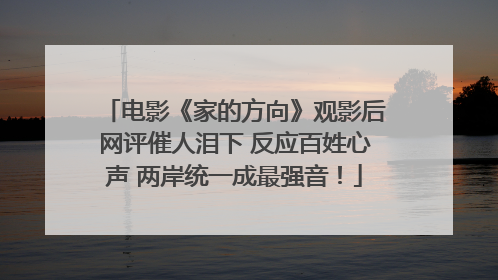 电影《家的方向》观影后网评催人泪下 反应百姓心声 两岸统一成最强音！