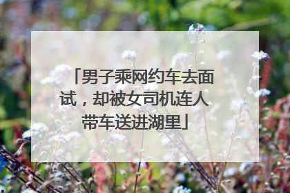 男子乘网约车去面试，却被女司机连人带车送进湖里