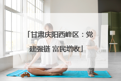 甘肃庆阳西峰区：党建强链 富民增收