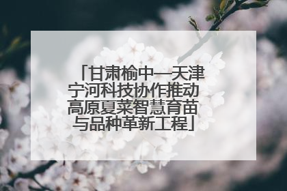 甘肃榆中—天津宁河科技协作推动高原夏菜智慧育苗与品种革新工程