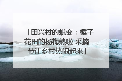 田兴村的蜕变：栀子花田的杨梅熟啦 采摘节让乡村热闹起来