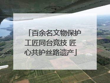 百余名文物保护工匠同台竞技 匠心共护丝路遗产