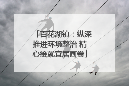 百花湖镇：纵深推进环境整治 精心绘就宜居画卷
