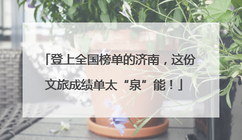 登上全国榜单的济南，这份文旅成绩单太“泉”能！