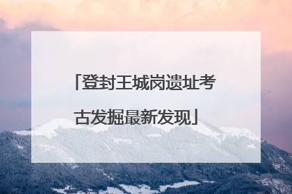 登封王城岗遗址考古发掘最新发现