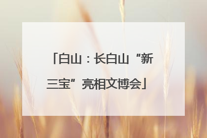 白山：长白山“新三宝”亮相文博会