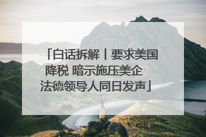 白话拆解丨要求美国降税 暗示施压美企 法德领导人同日发声