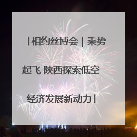 相约丝博会｜乘势起飞 陕西探索低空经济发展新动力