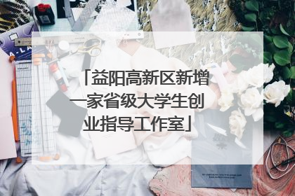 益阳高新区新增一家省级大学生创业指导工作室