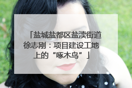 盐城盐都区盐渎街道徐志刚：项目建设工地上的“啄木鸟”