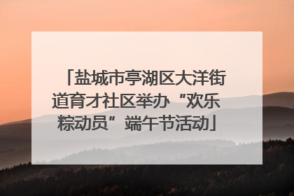 盐城市亭湖区大洋街道育才社区举办“欢乐粽动员”端午节活动