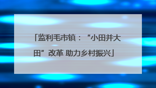 监利毛市镇：“小田并大田”改革 助力乡村振兴