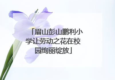眉山彭山鹏利小学让劳动之花在校园绚丽绽放