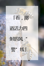 看，那道活力四射的风“警”线