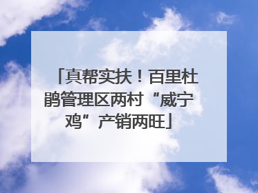 真帮实扶！百里杜鹃管理区两村“威宁鸡”产销两旺
