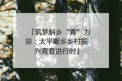 筑梦斛乡“青”力量：太平畈乡乡村振兴青春进行时