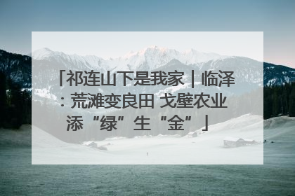 祁连山下是我家｜临泽：荒滩变良田 戈壁农业添“绿”生“金”