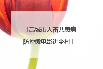 禹城市人畜共患病防控微电影进乡村