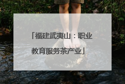 福建武夷山：职业教育服务茶产业