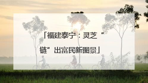 福建泰宁：灵芝“链”出富民新图景