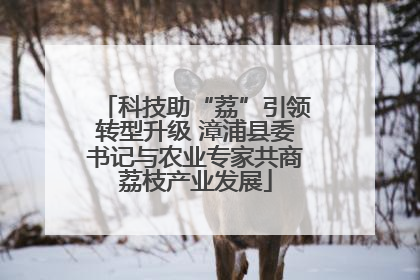 科技助“荔”引领转型升级 漳浦县委书记与农业专家共商荔枝产业发展