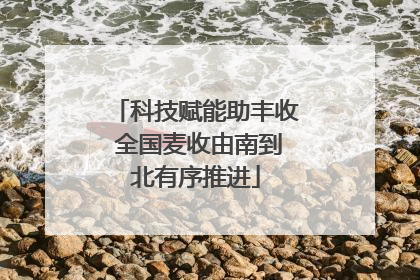 科技赋能助丰收 全国麦收由南到北有序推进