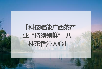 科技赋能广西茶产业“持续领鲜” 八桂茶香沁人心