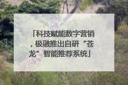 科技赋能数字营销，极融推出自研“苍龙”智能推荐系统