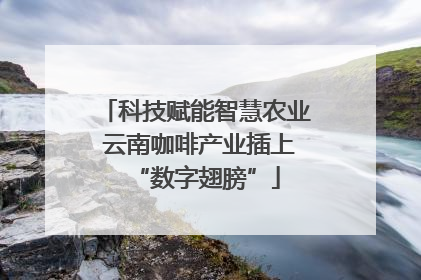 科技赋能智慧农业 云南咖啡产业插上“数字翅膀”