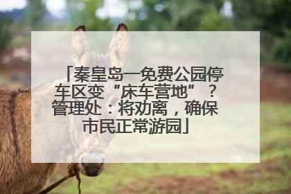 秦皇岛一免费公园停车区变“床车营地”？管理处：将劝离，确保市民正常游园