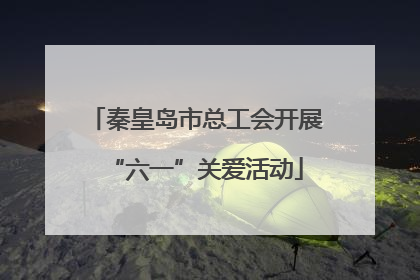 秦皇岛市总工会开展“六一”关爱活动