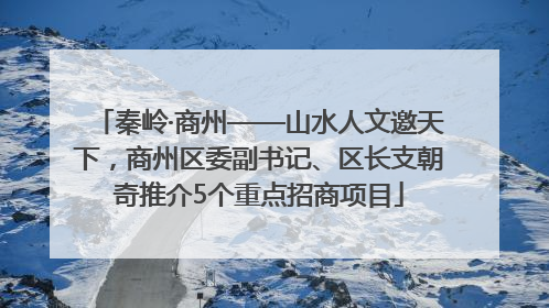 秦岭·商州——山水人文邀天下，商州区委副书记、区长支朝奇推介5个重点招商项目