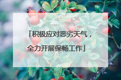 积极应对恶劣天气，全力开展保畅工作