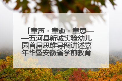 童声・童趣・童思——五河县新城实验幼儿园首届思维导图讲述嘉年华暨安徽省学前教育教研基地园项目阶段性成果展示活动