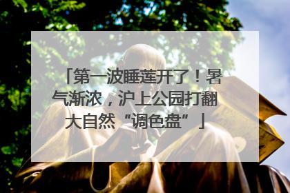 第一波睡莲开了！暑气渐浓，沪上公园打翻大自然“调色盘”