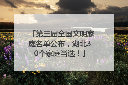 第三届全国文明家庭名单公布，湖北30个家庭当选！