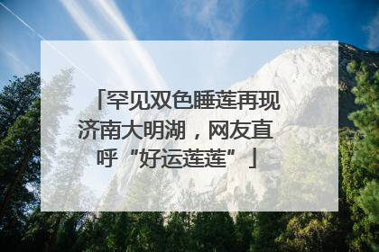 罕见双色睡莲再现济南大明湖，网友直呼“好运莲莲”