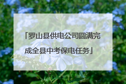 罗山县供电公司圆满完成全县中考保电任务
