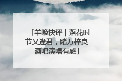 羊晚快评｜落花时节又逢君，睹万梓良酒吧演唱有感
