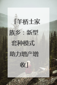 羊桥土家族乡：新型套种模式 助力增产增收