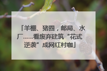 羊棚、猪圈，邮局、水厂……看废弃建筑“花式逆袭”成网红村咖